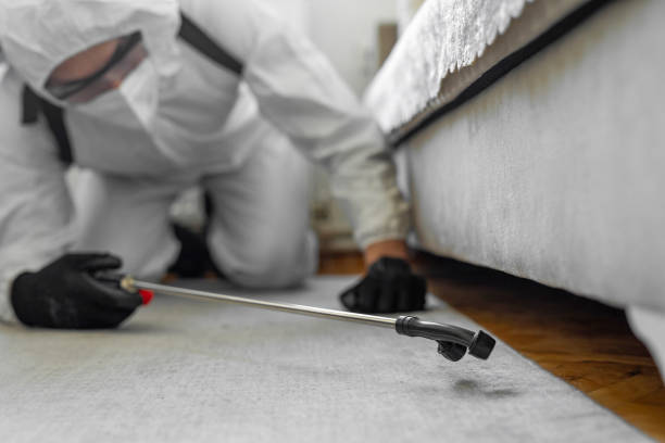 Professional Ant Control technician working in Arcadia, LA