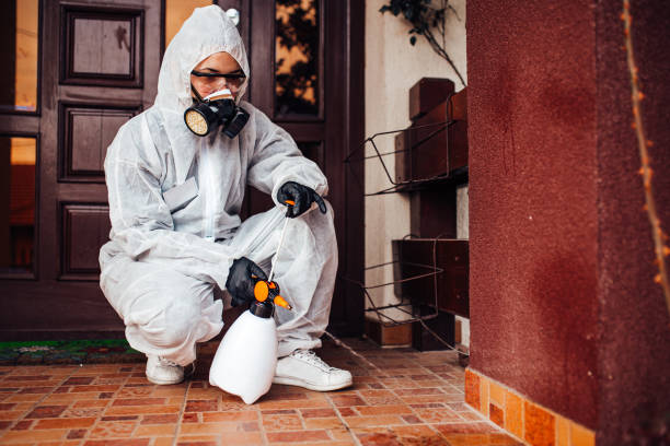 Reliable Ant Control contractor in Arcadia, LA by Nex Pest Control